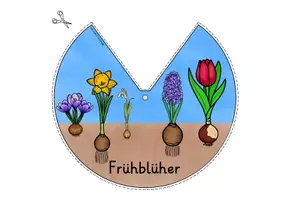 Vorschau - Mal- und Bastelvorlagen - Frühblüher Klasse 1-2 DREHSCHEIBE basteln - Seite 2