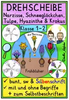 Vorschau - Mal- und Bastelvorlagen - Frühblüher Klasse 1-2 DREHSCHEIBE basteln - Deckblatt