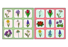 Vorschau - Spiele - Frühblüher BINGO Klasse 1-4 Grundschule - Seite 3