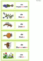 Vorschau - Spiele - Lesespiel Domino Frühblüher Klasse 1, Klasse 2, DaZ - Seite 2