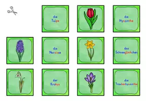 Vorschau - Spiele - Frühblüher ZUORDNUNGSSPIEL differenziert Klasse 1-4 - Seite 2