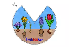 Vorschau - Mal- und Bastelvorlagen - Frühblüher Klasse 3-4 DREHSCHEIBE basteln - Seite 1
