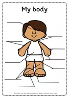Vorschau - Arbeitsblätter - Body Parts - Arbeitsblätter - Seite 3