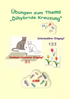Vorschau - Arbeitsblätter - Übungen zum Thema "Dihybride Kreuzung" - Deckblatt