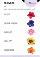 anteprima - Esercizi - Indovina i Fiori - Guess the Flowers / Inglese Beginner - Pagina 1