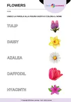 anteprima - Esercizi - Indovina i Fiori - Guess the Flowers / Inglese Beginner - Pagina 2