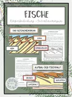Vorschau - Arbeitsblätter - Fische - Körperbedeckung + Seitenlinienorgan - Deckblatt