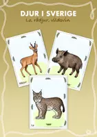 förhandsvisning - Målarbilder och affischer lo, rådjur, vildsvin - försättsblad