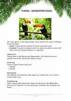 Vorschau - Arbeitsblätter - Tierwelt Brasiliens Stationenlernen - Seite 3