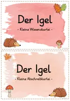 Vorschau - Merkblätter - Wissenskartei/Abschreibkartei Igel - Seite 1