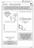 Vorschau - Arbeitsblätter - Infocube: Tiere des Waldes - Wolf | Waldtiere - Seite 1