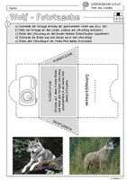 Vorschau - Arbeitsblätter - Infocube: Tiere des Waldes - Wolf | Waldtiere - Seite 2