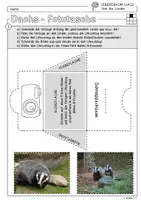 Vorschau - Arbeitsblätter - Infocube: Tiere des Waldes - Dachs | Waldtiere - Seite 2