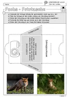 Vorschau - Arbeitsblätter - Infocube: Tiere des Waldes - Fuchs | Waldtiere - Seite 2