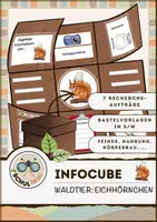 Vorschau - Mal- und Bastelvorlagen - Infocube: Tiere des Waldes - Eichhörnchen | Waldtiere - Deckblatt
