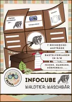 Vorschau - Arbeitsblätter - Infocube: Tiere des Waldes - Waschbär | Waldtiere - Deckblatt