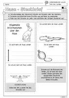 Vorschau - Arbeitsblätter - Infocube: Tiere des Waldes - Hase | Waldtiere - Seite 1