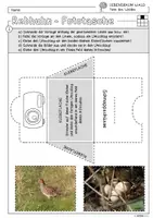 Vorschau - Arbeitsblätter - Infocube: Tiere des Waldes - Rebhuhn | Waldtiere - Seite 2