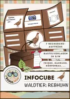 Vorschau - Arbeitsblätter - Infocube: Tiere des Waldes - Rebhuhn | Waldtiere - Deckblatt