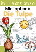 Vorschau - Arbeitsblätter - Mini - Lapbook - Gedicht - Die Tulpe von Josef Guggenmos - Deckblatt