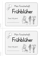 Vorschau - Unterrichtsreihen - Frühblüher - Forscherheft mit Fotokartei (2./3. Klasse) - Seite 2