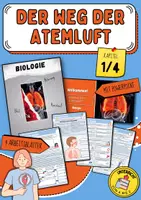 Vorschau - Arbeitsblätter - Der Weg der Atemluft (Grundwissen: Warum müssen wir atmen? Der Atemapparat: Schaubild, Wie funktioniert der Gasaustausch?) - Deckblatt