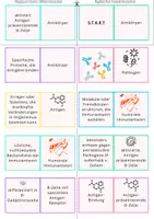 Vorschau - Spiele - Immunbiologie Domino: Humerale Immunantwort (spezifische Immunreaktion) - Seite 2