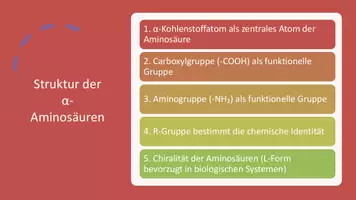 Vorschau - Präsentationen/Tafelbilder - Aminosäuren: Peptidbindungen & Signaltransduktion - Präsentation - Seite 2