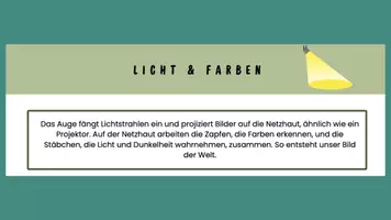 Vorschau - Stundenentwürfe - PPT & Stundenentwurf Licht & Farben - Teil 4 - Faszination Auge - Seite 3