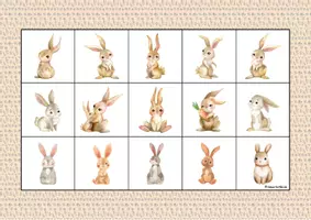 Aperçu - Apprentissages en autonomie - 🐰🐔🐣🦋🐞🐝 Printemps ateliers Silhouettes Jeu des ombres - Page 1