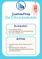 Vorschau - Arbeitsblätter - Zusatzaufträge zum Thema Körper, Karten, direkt einsetzbar - Seite 1