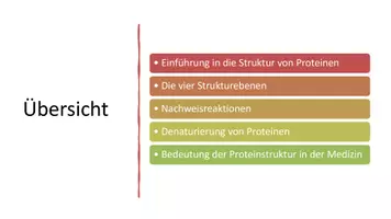Vorschau - Präsentationen/Tafelbilder - Proteinbiochemie - Denaturierung & Nachweis | Präsentation - Seite 1