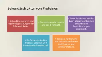 Vorschau - Präsentationen/Tafelbilder - Proteinbiochemie - Denaturierung & Nachweis | Präsentation - Seite 3