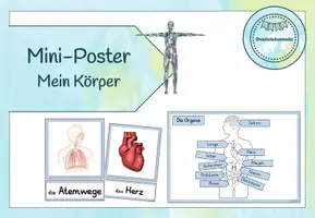 Vorschau - Poster - Mein Körper - Tafelmaterial, Miniposter, Legematerial - Seite 1