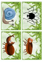 Vista previa - Juegos / Gamificación - Los Insectos (Flashcards A6) by Magia Didáctica - página 3