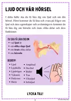 förhandsvisning - Ljud och vår hörsel - Arbetshäfte - sida 1