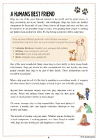 förhandsvisning - Reading comprehension - sida 3