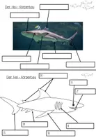 Vorschau - Stationenlernen - Lerntheke: Der Hai (Tiere im Meer) - Seite 3