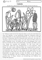 Vorschau - Arbeitsblätter - Lesen, verstehen und malen Frühblüher Klasse 2, 3 4, DaZ, DaF Leseübung, Leseverstehen - Seite 1
