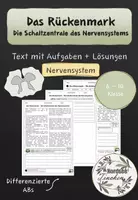 Vorschau - Arbeitsblätter - Das Rückenmark - Schaltzentrale der Reflexe // Nervensystem - Deckblatt