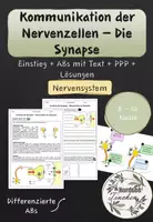 Vorschau - Arbeitsblätter - Funktion einer Synapse, Kommunikation der Nervenzellen // Nervensystem - Deckblatt