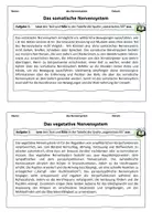 Vorschau - Arbeitsblätter - Partnerpuzzle: Somatisches und vegetatives Nervensystem - Seite 2