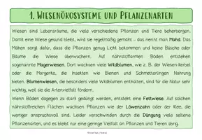 Vorschau - Arbeitsblätter - LERNTHEKE: ÖKOSYSTEM WIESE (+ Rätsel & Quiz) - Seite 2