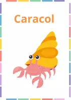 Vista previa - Tarjetas / Manipulativos - Flashcards animales marinos - página 3