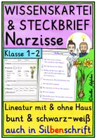 Vorschau - Arbeitsblätter - Narzisse – Wissenskartei & Steckbrief Frühblüher Klasse 1-2 - Deckblatt