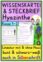 Vorschau - Arbeitsblätter - Hyazinthe – Wissenskartei & Steckbrief Frühblüher Kl. 1 & 2 - Deckblatt
