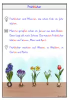 Vorschau - Arbeitsblätter - Hyazinthe – Wissenskartei & Steckbrief Frühblüher Kl. 1 & 2 - Seite 1