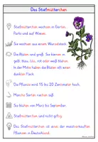 Vorschau - Arbeitsblätter - Stiefmütterchen – Wissenskartei & Steckbrief Frühblüher - Seite 3