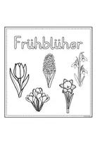 Vorschau - Mal- und Bastelvorlagen - Frühblüher Klasse 1-2 FLIPBOOK mit Steckbriefen - Seite 3