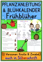 Vorschau - Arbeitsblätter - Frühblüher differenzierte Pflanzanleitung & Blühkalender - Deckblatt